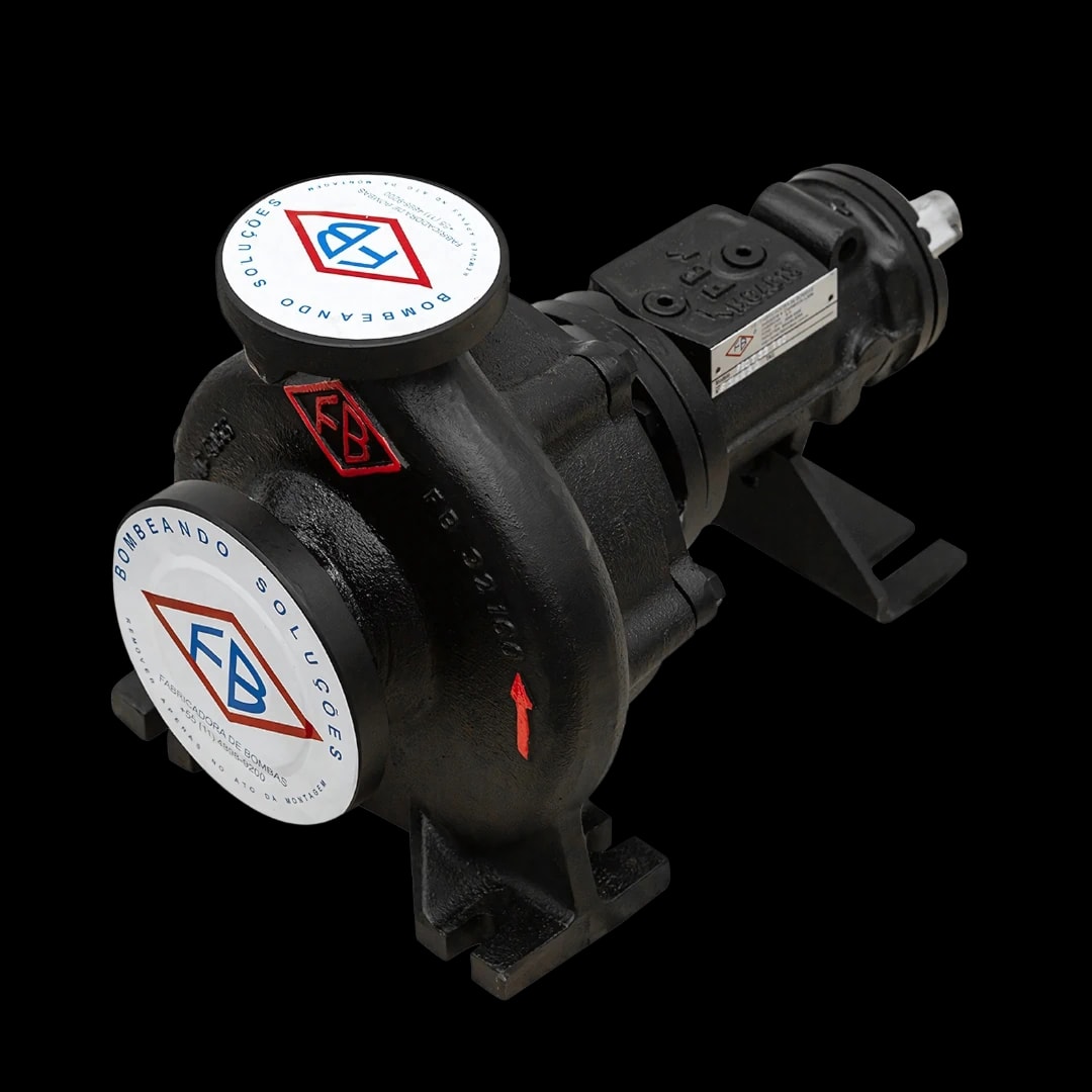 Bombas Óleo Térmico - View 1